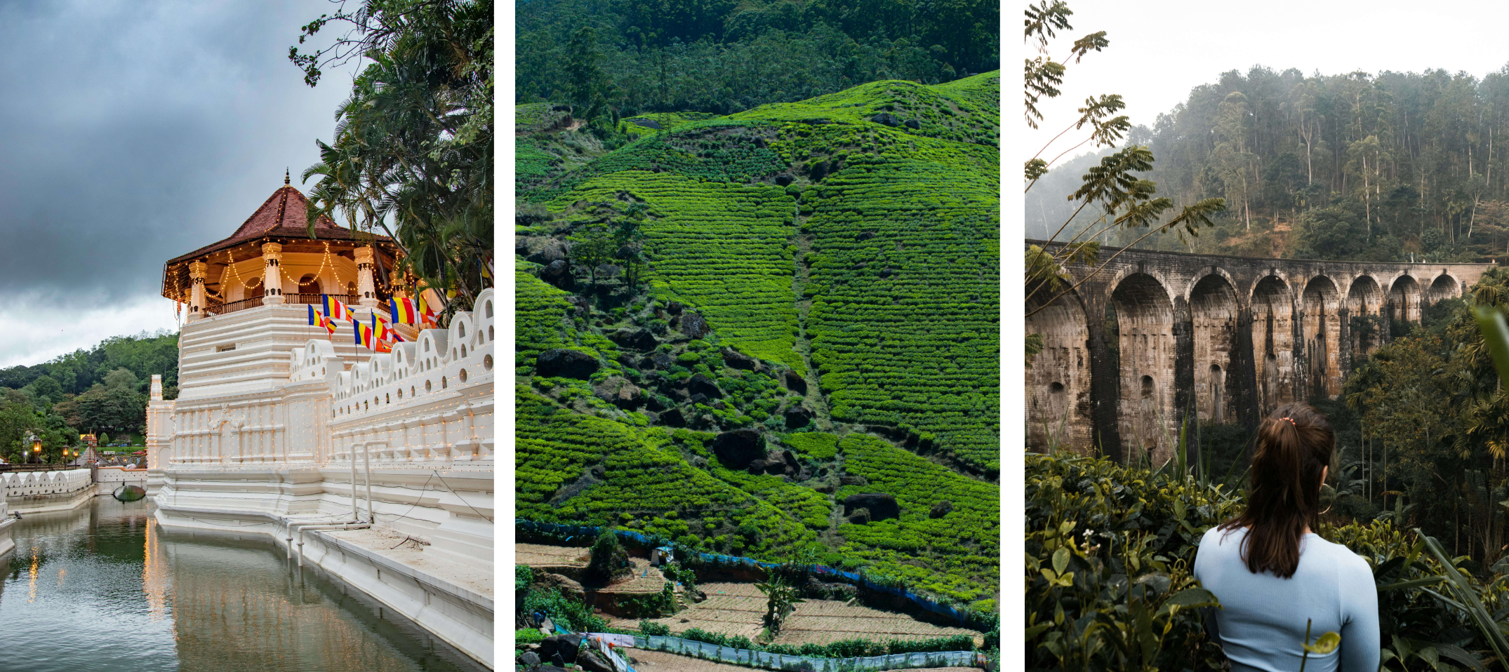 The Logistics of Your Ultimate Road Trip Kandy